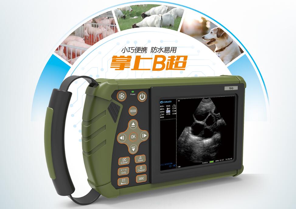 牛用B超,牛用B超機,牛孕檢B超,牛場用B超機,養(yǎng)牛用B超機,獸用B超,獸用B超機