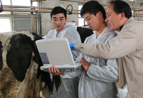 獸用B超機,獸用b超,獸用孕檢B超,羊B超