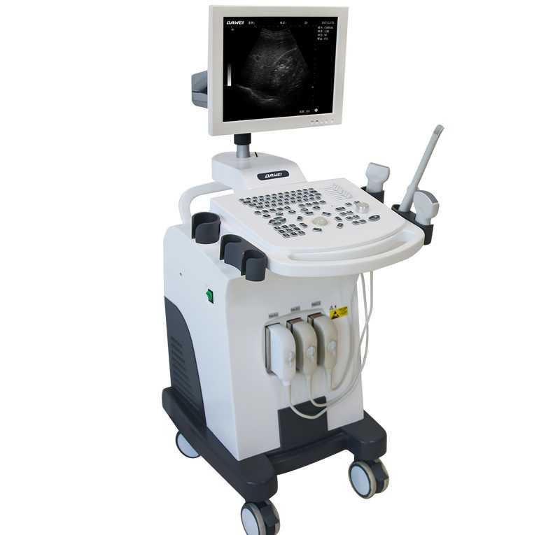 DW-370(技術(shù)版) 全數(shù)字超聲診斷儀-推車式黑白B超機
